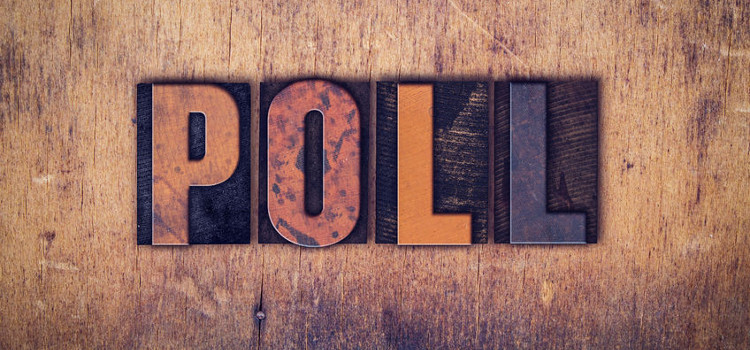 Poll Regarding Web Advertisements